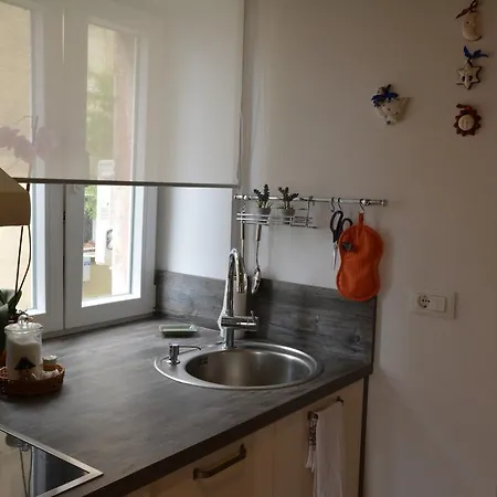 Appartement Petrova Attic