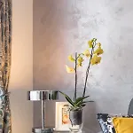 Petrova Attic Apartamento *