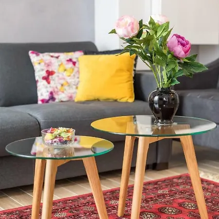 Petrova Attic Apartamento