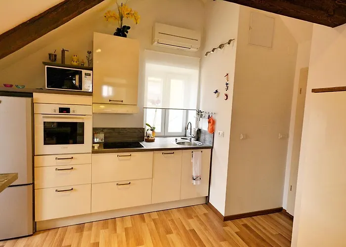 Petrova Attic דירה