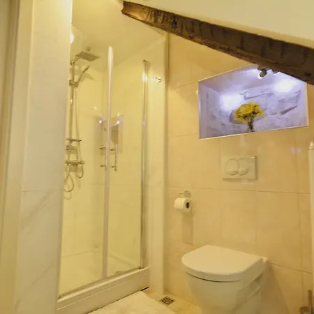 Apartment Petrova Attic *