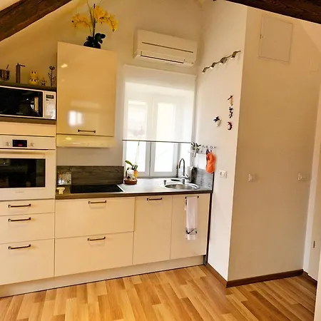 Petrova Attic Apartment